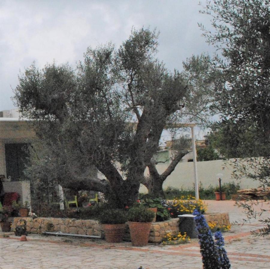 Microborgopasca Bed & Breakfast Sannicola Exterior photo