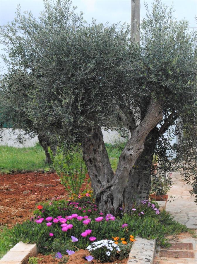 Microborgopasca Bed & Breakfast Sannicola Exterior photo